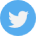 footer-twitter